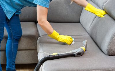 Čišćenje madraca za vlasnike kućnih ljubimaca