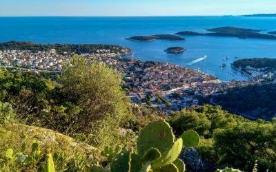 Od Stinive do Dubovice: Top plaže koje vrijedi posjetiti